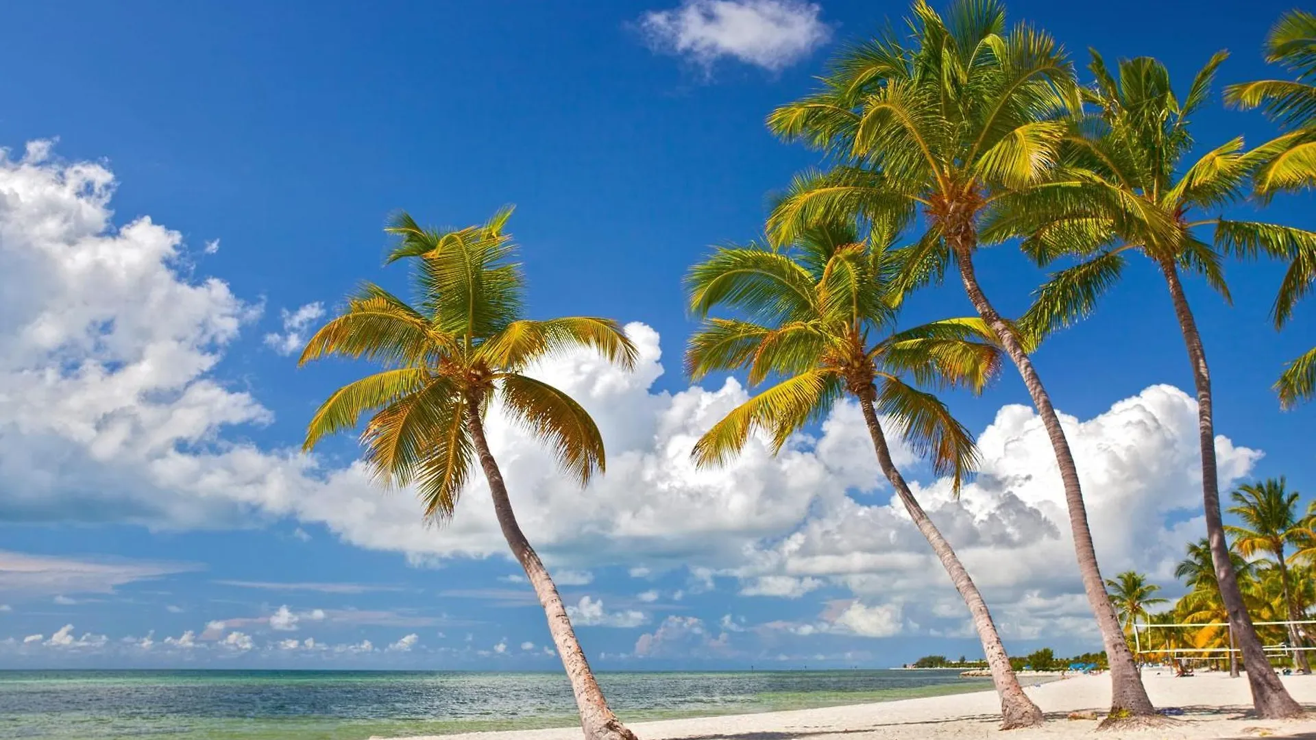 Brisa Del Mar By Avantstay Communal Pool Gated Community Ocean Front Key West Holiday home